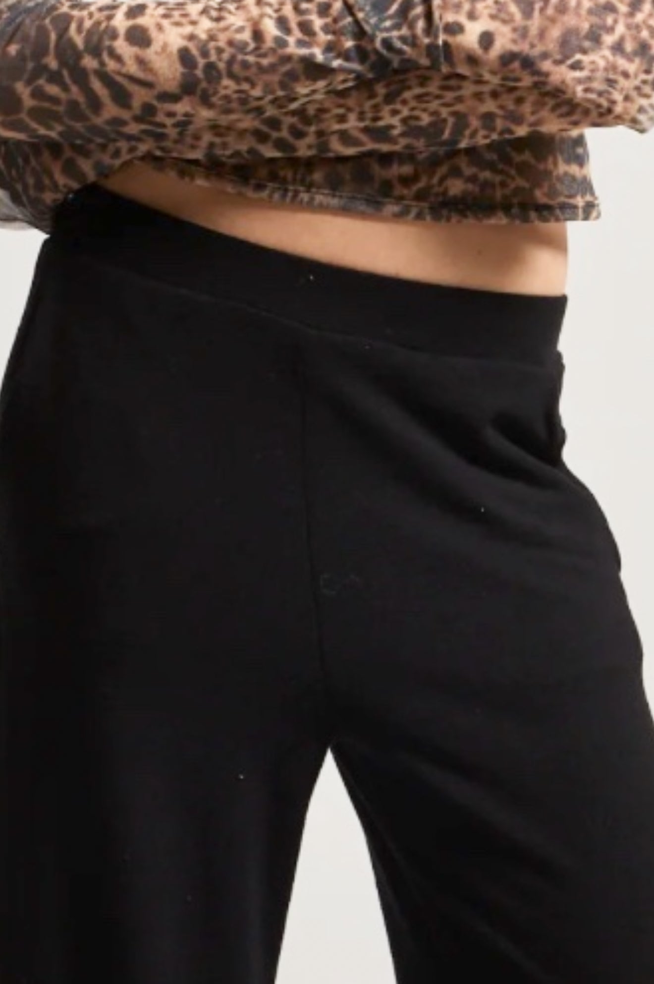 Asher Penny Pant