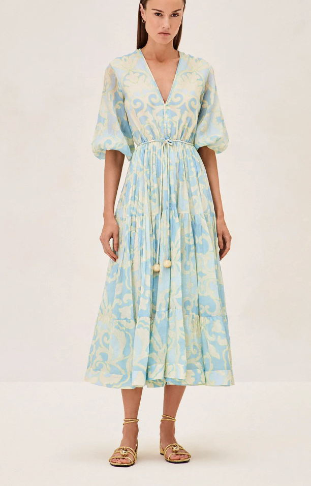 Alexis Vilas Dress