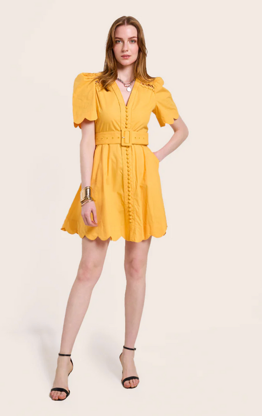 Scarlett Euphoric Dress