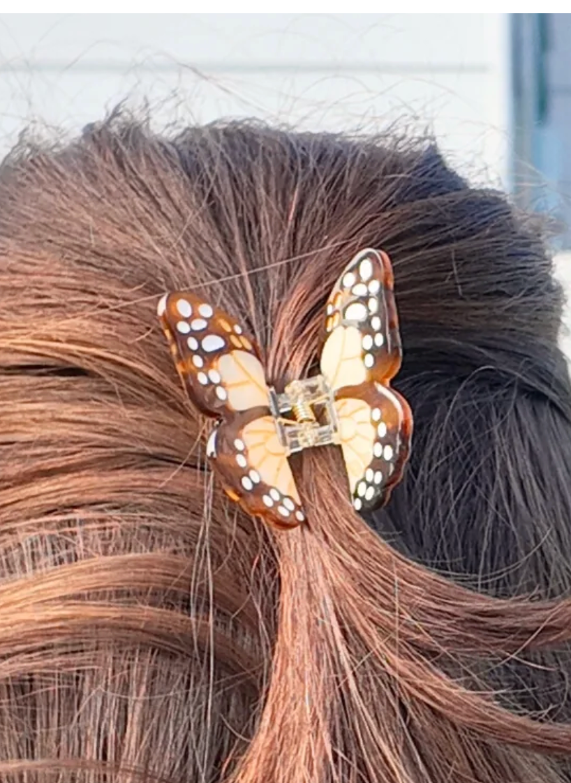 Solar Eclipse Mini Butterfly Clip