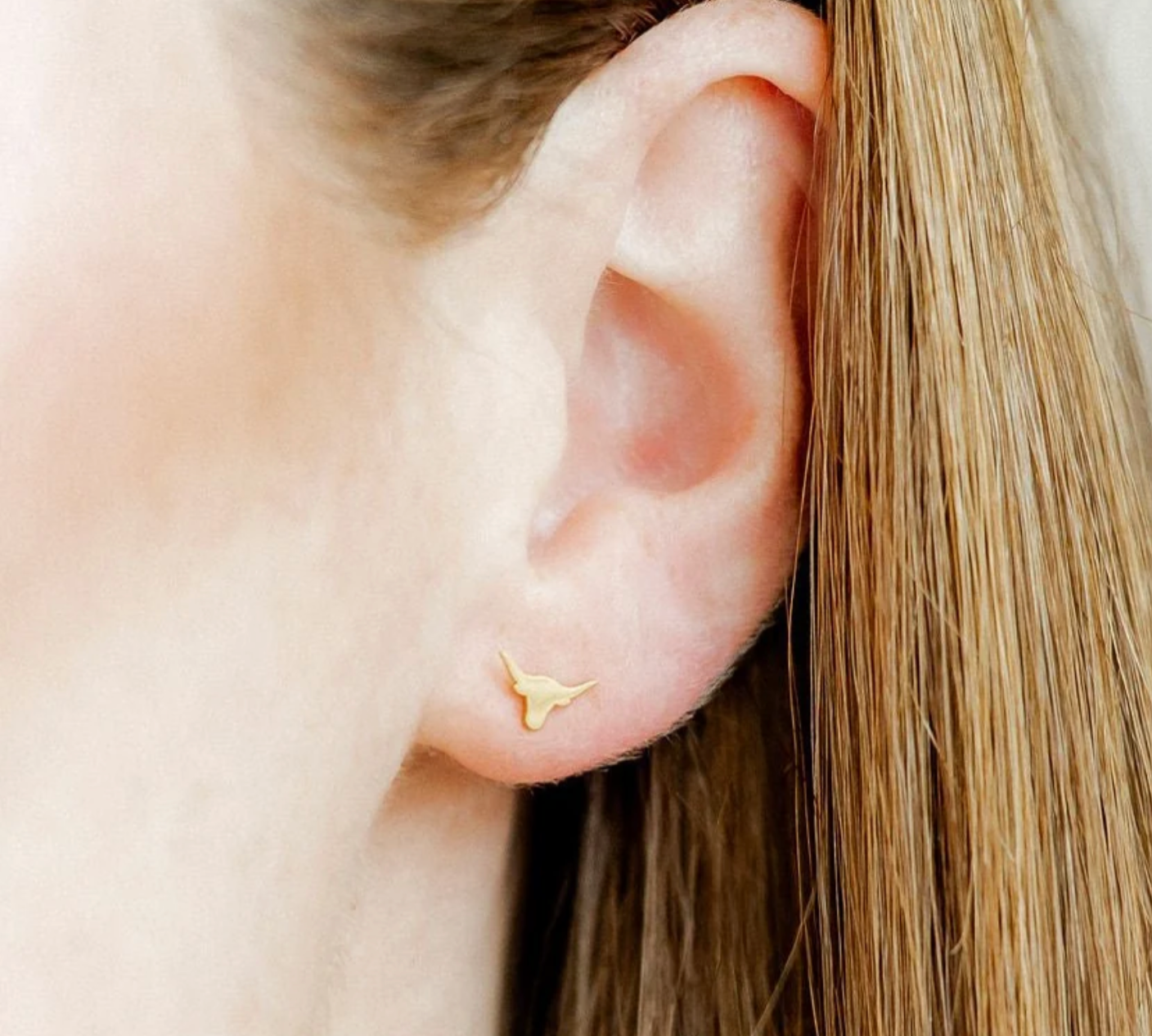 LinnyCo Texas Steer Screwback Earrings
