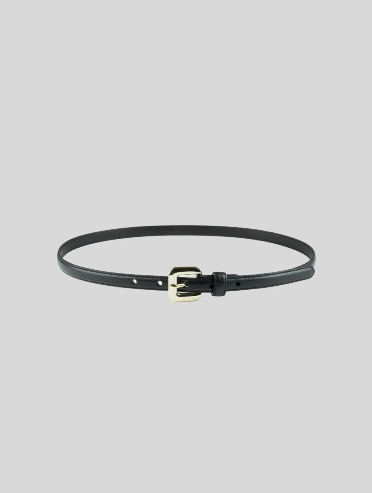 Gavazzeni Gloriosa Belt