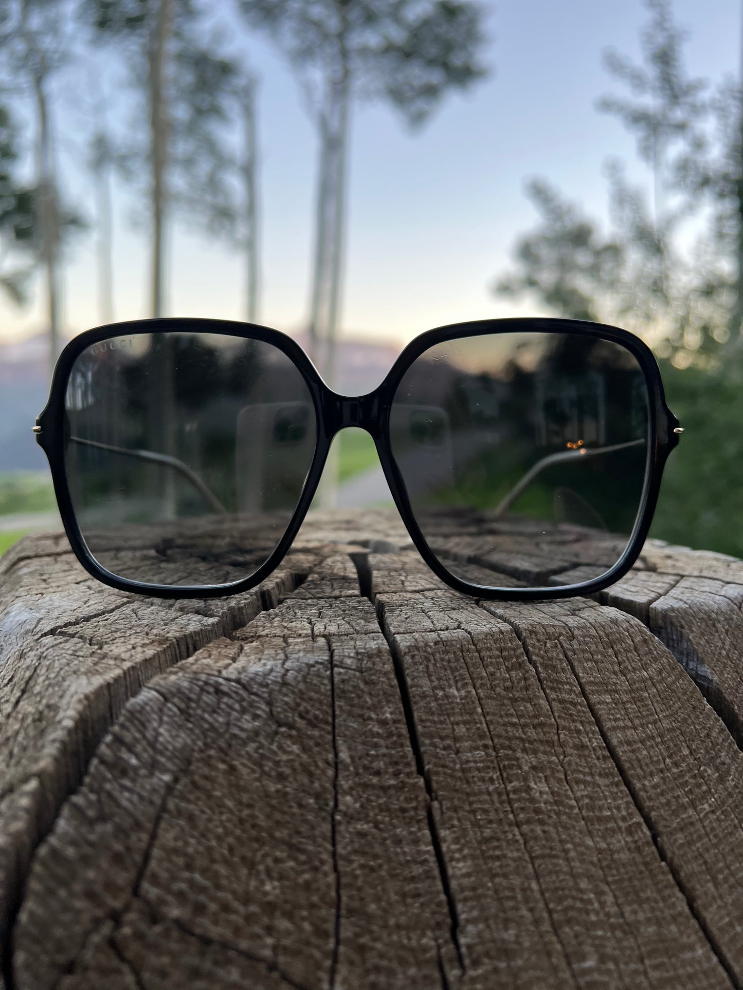 GG Large Black Light Sunglasses