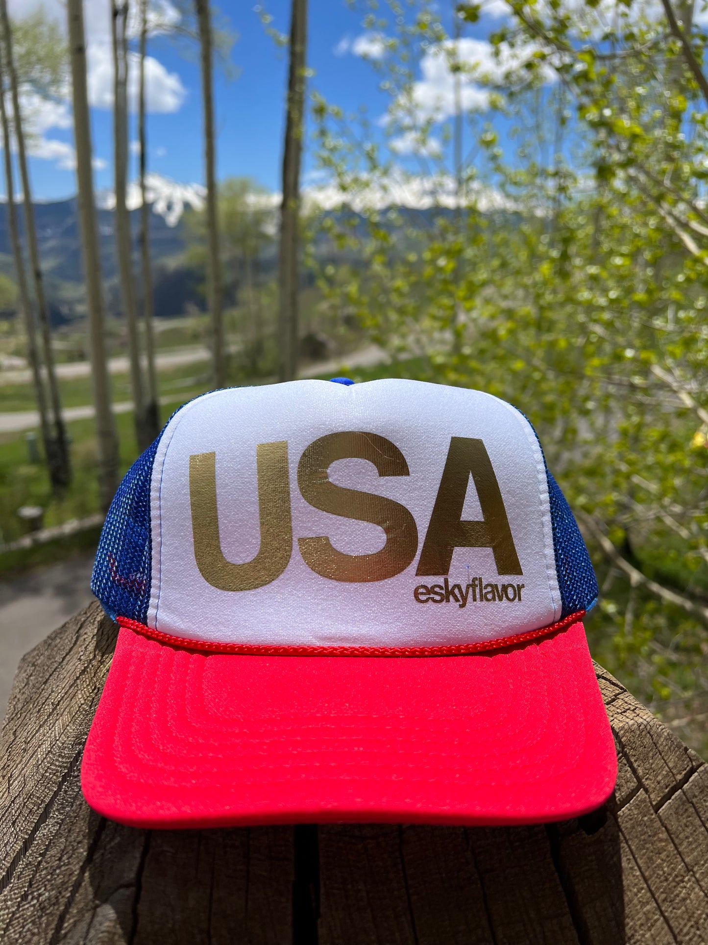 Esky USA Hat