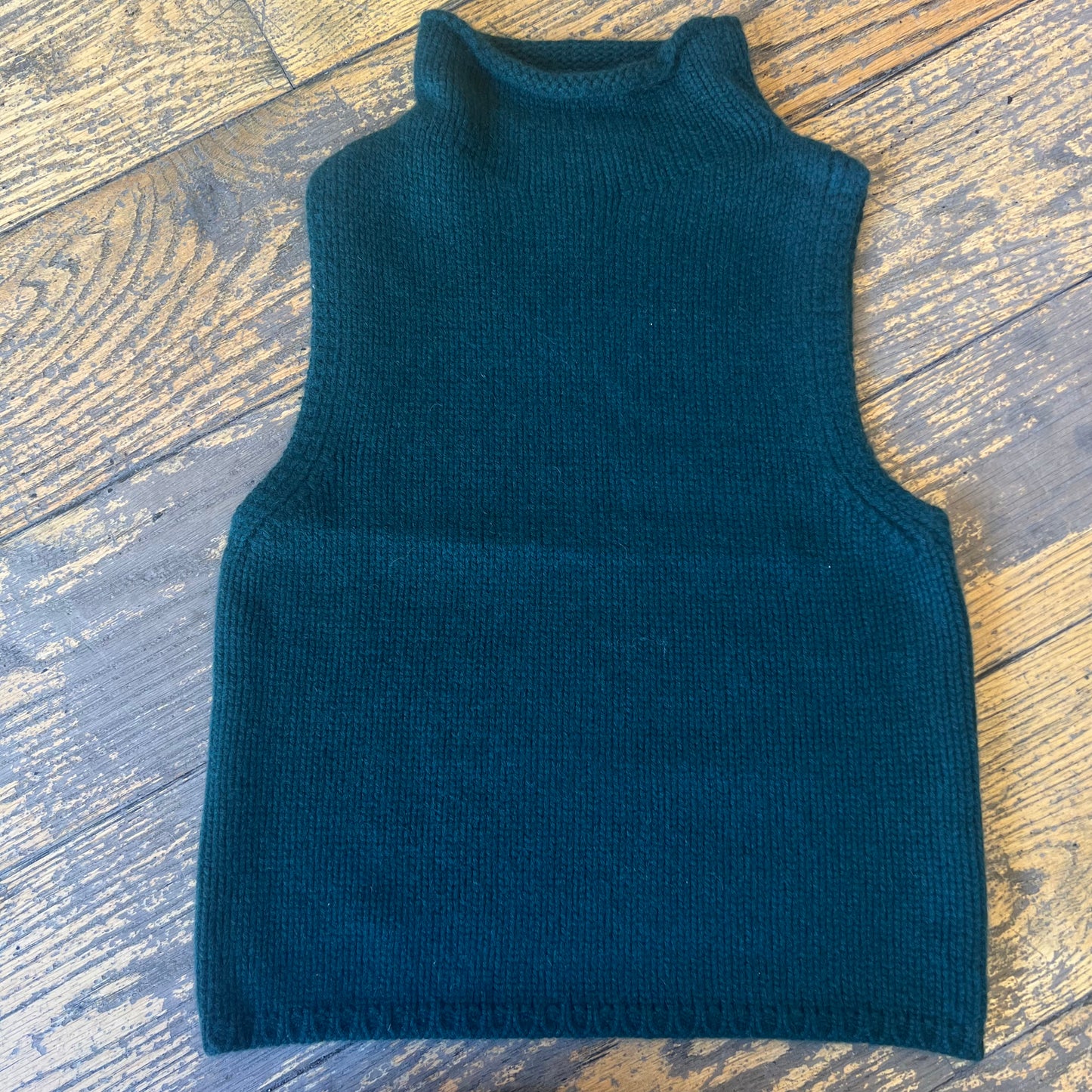 Sabyln Sleeveless Turtleneck