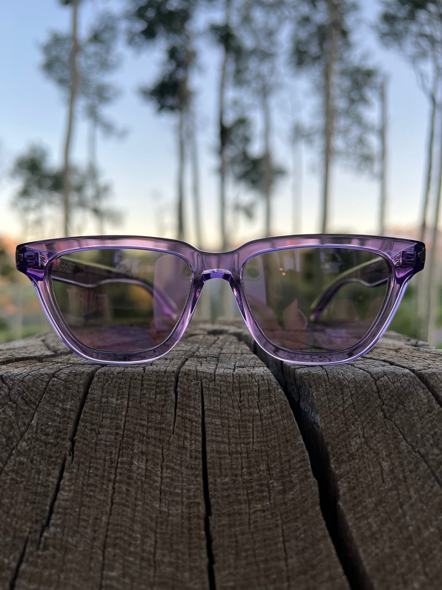 YSL Purple Sunglasses