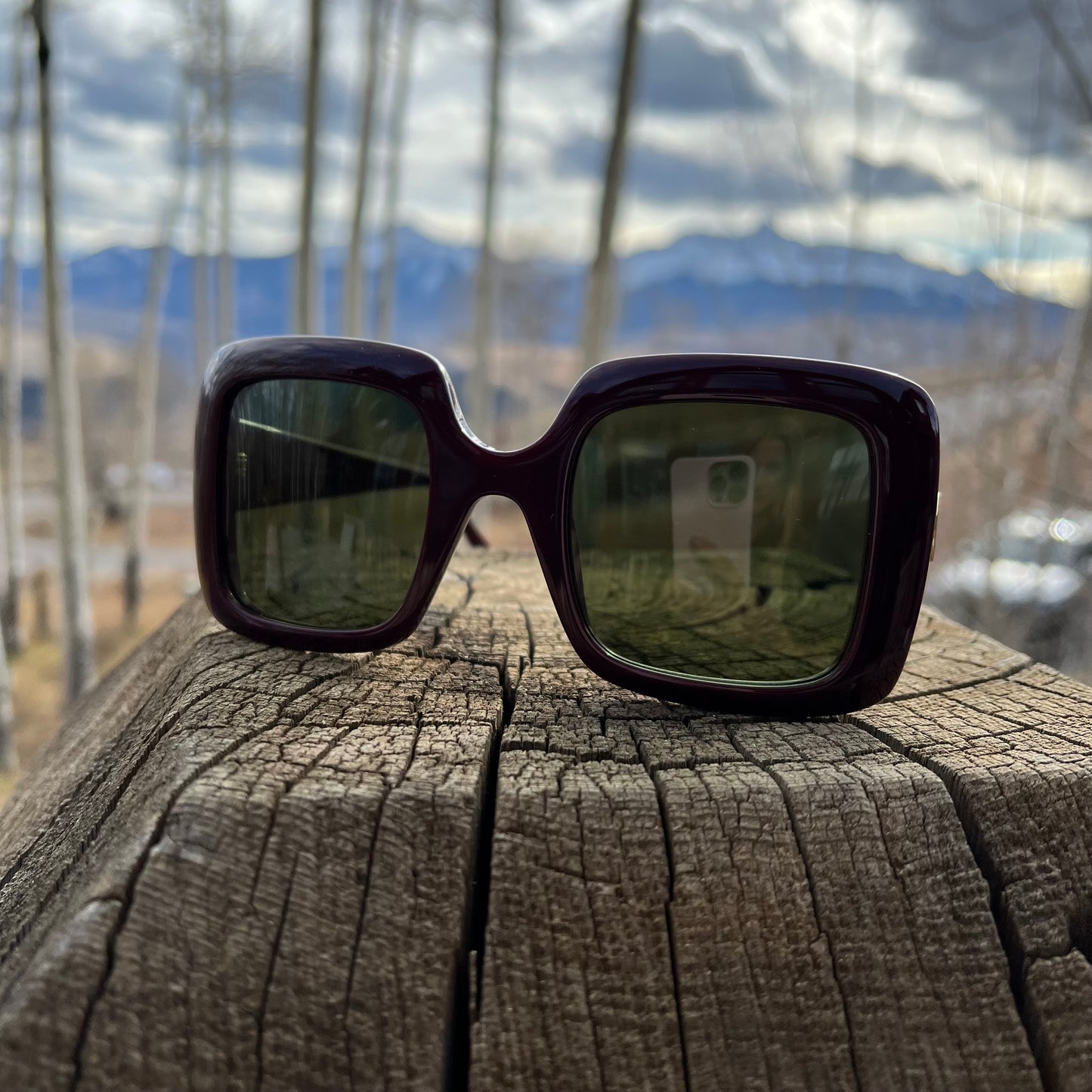 Gucci Eggplant Sunglasses