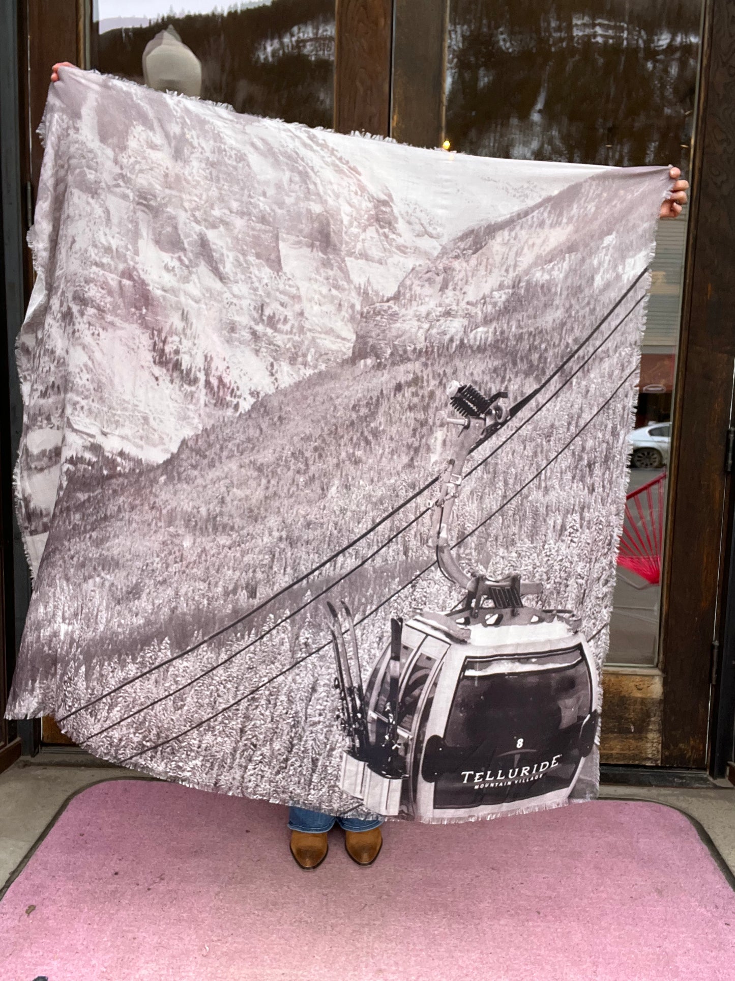 Mountain and Meadow Winter Gondola