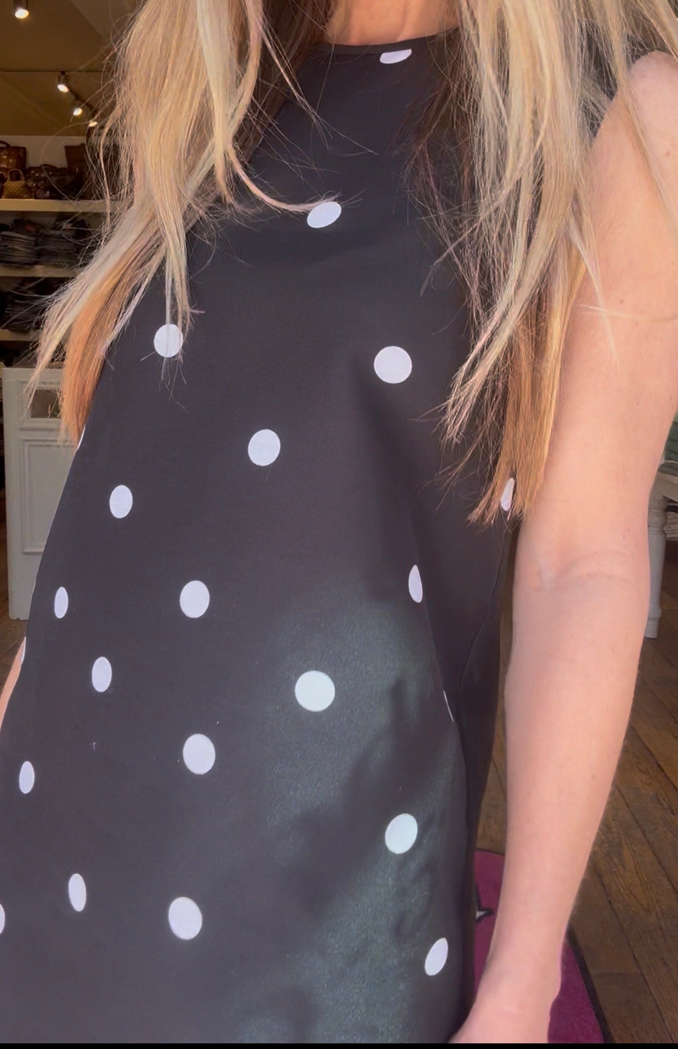 Alexis Zilez Dress