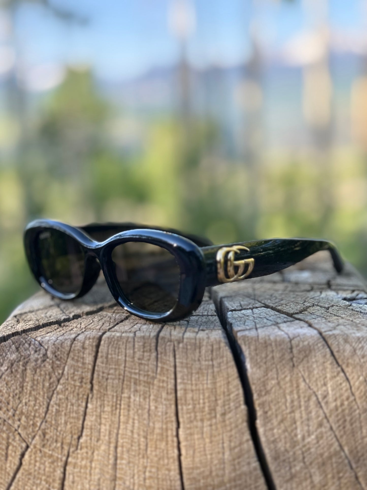 Gucci Wide Cat Eye Sunglasses