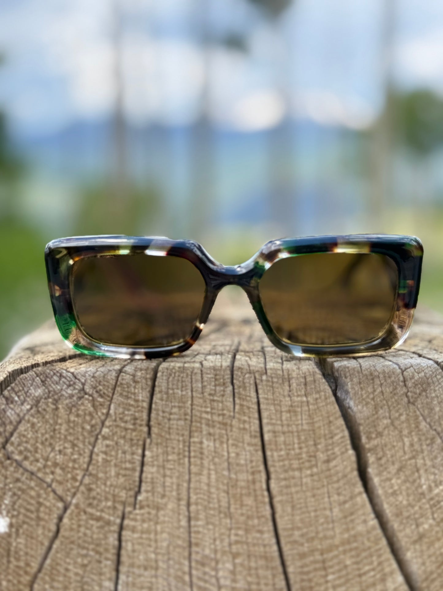 GG Green Tort Sunglasses