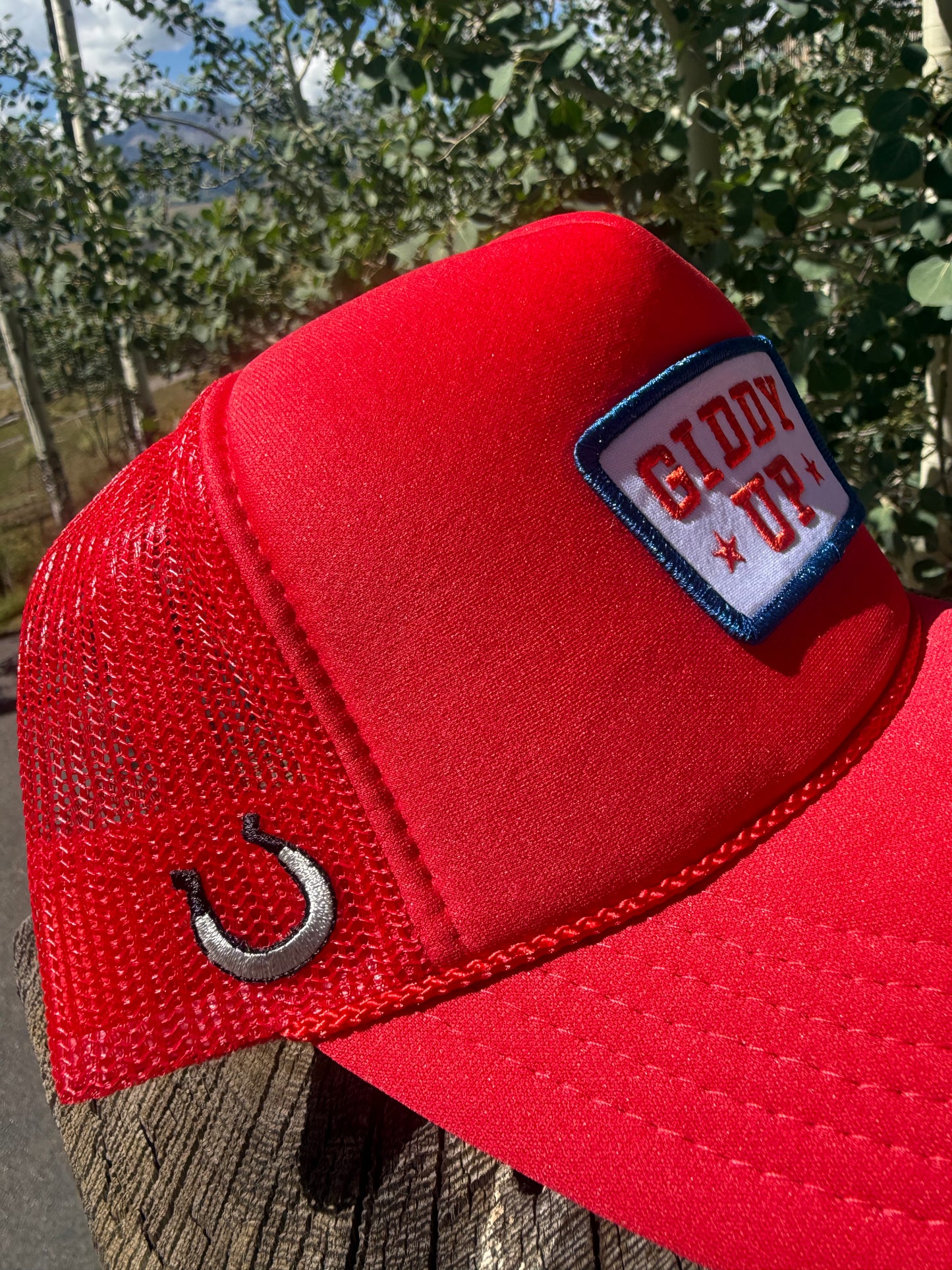 Shady Trucker Giddy Up Hat