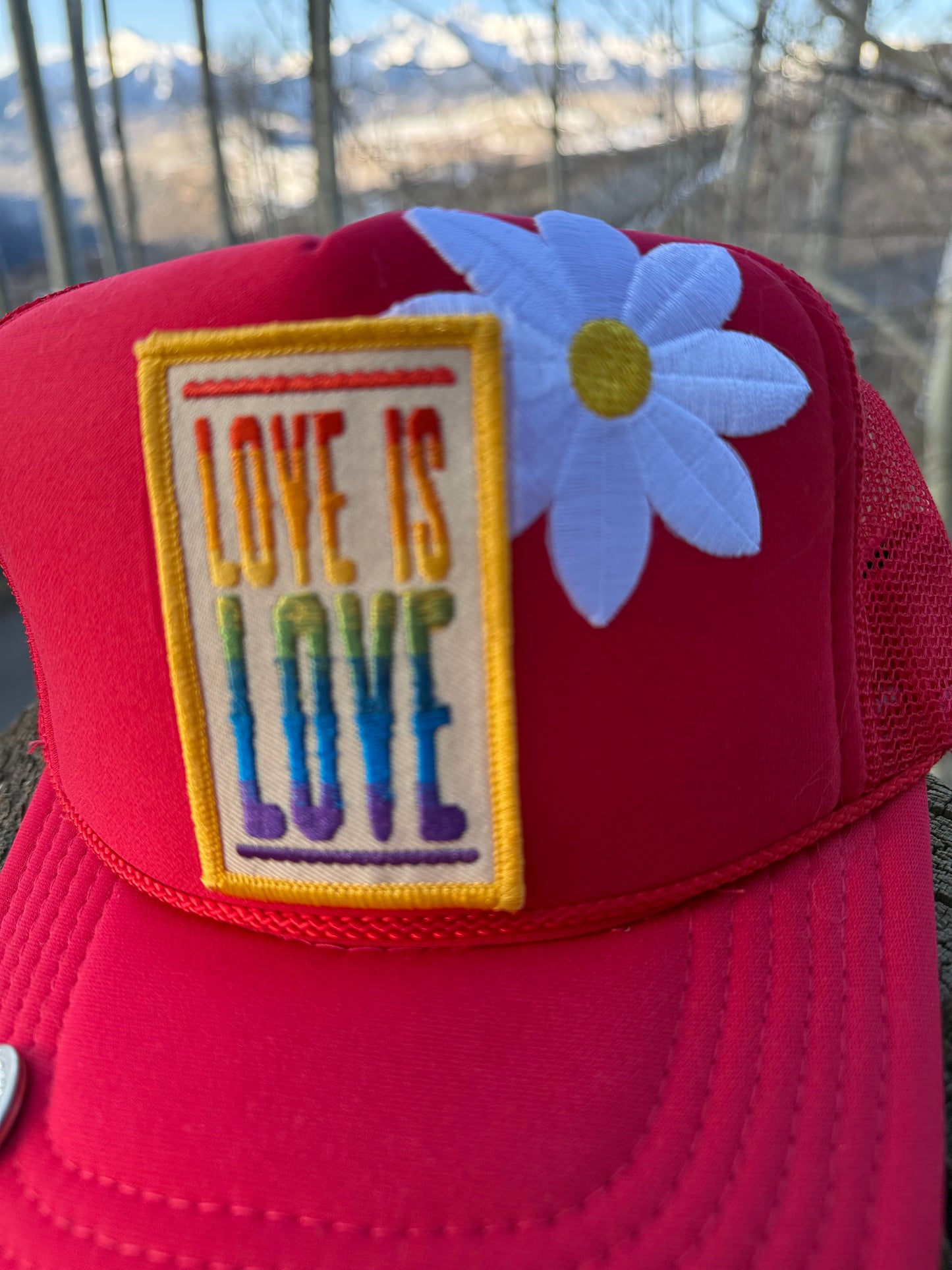 Shady Trucker Love is Love Hat