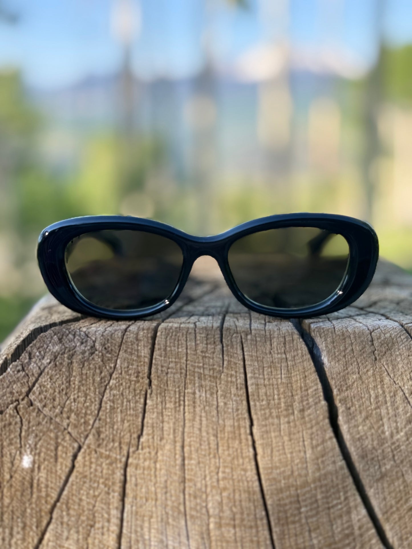 Gucci Wide Cat Eye Sunglasses