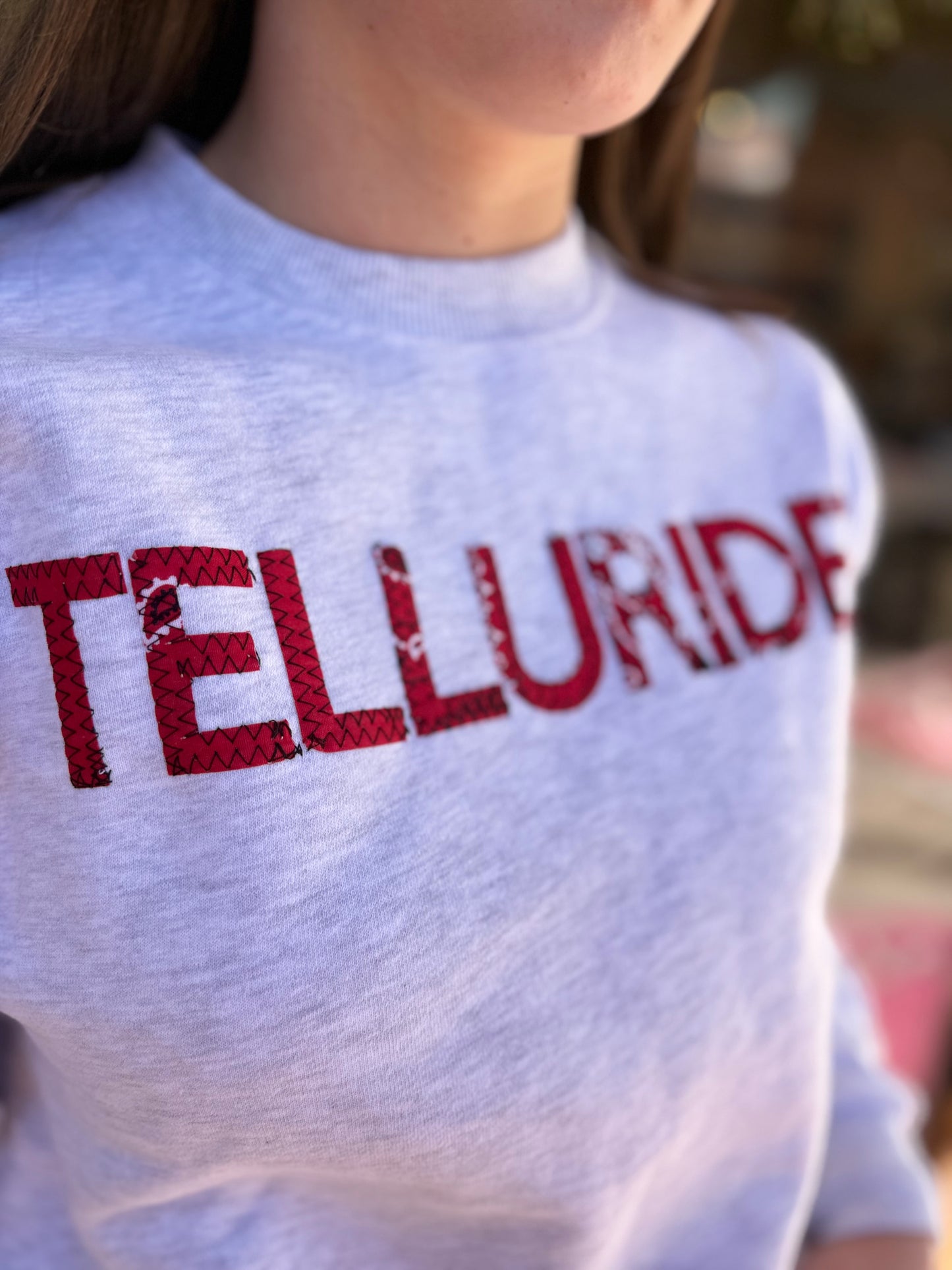 UD Telluride Sweatshirt