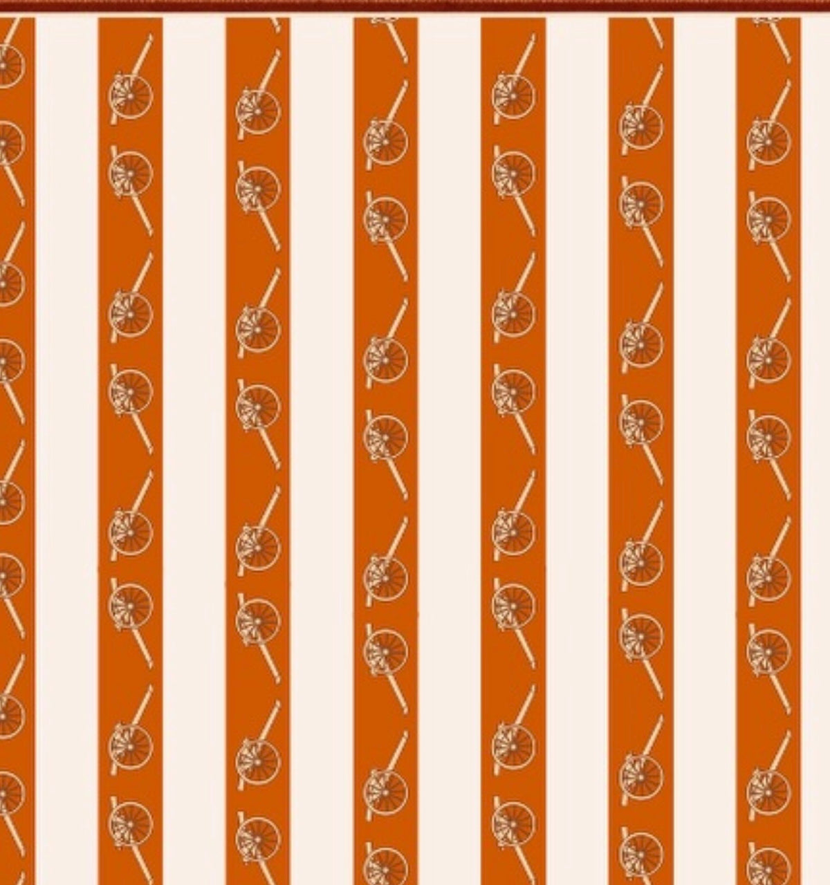 Clearly Col UT Austin Scarf