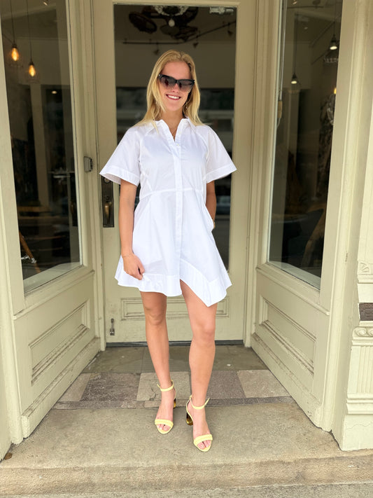 ALC Julie Dress