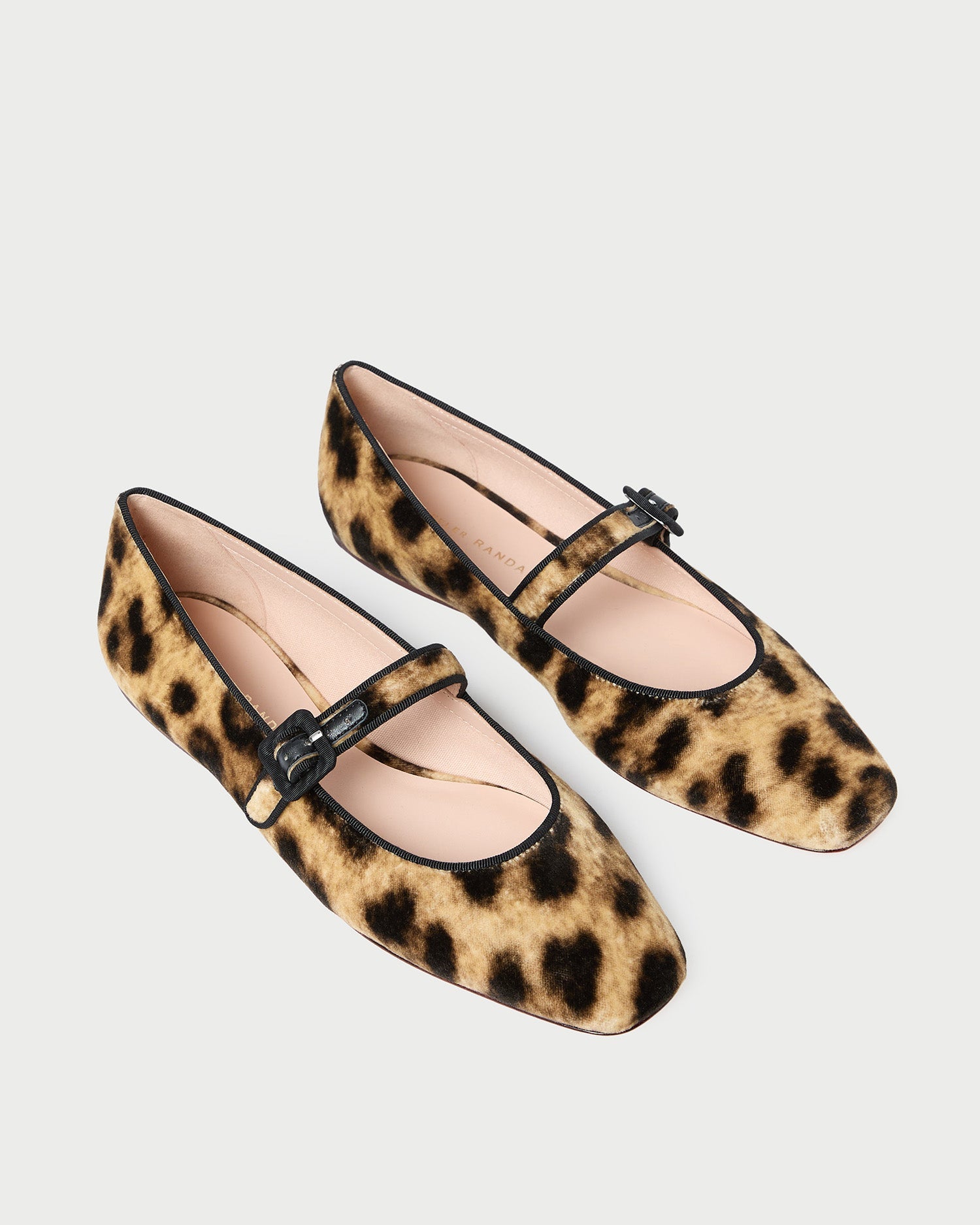 Loeffler Randall Ginger Mary Jane Flat in Leopard velvet, alternate view showing the black piping and buckle strap