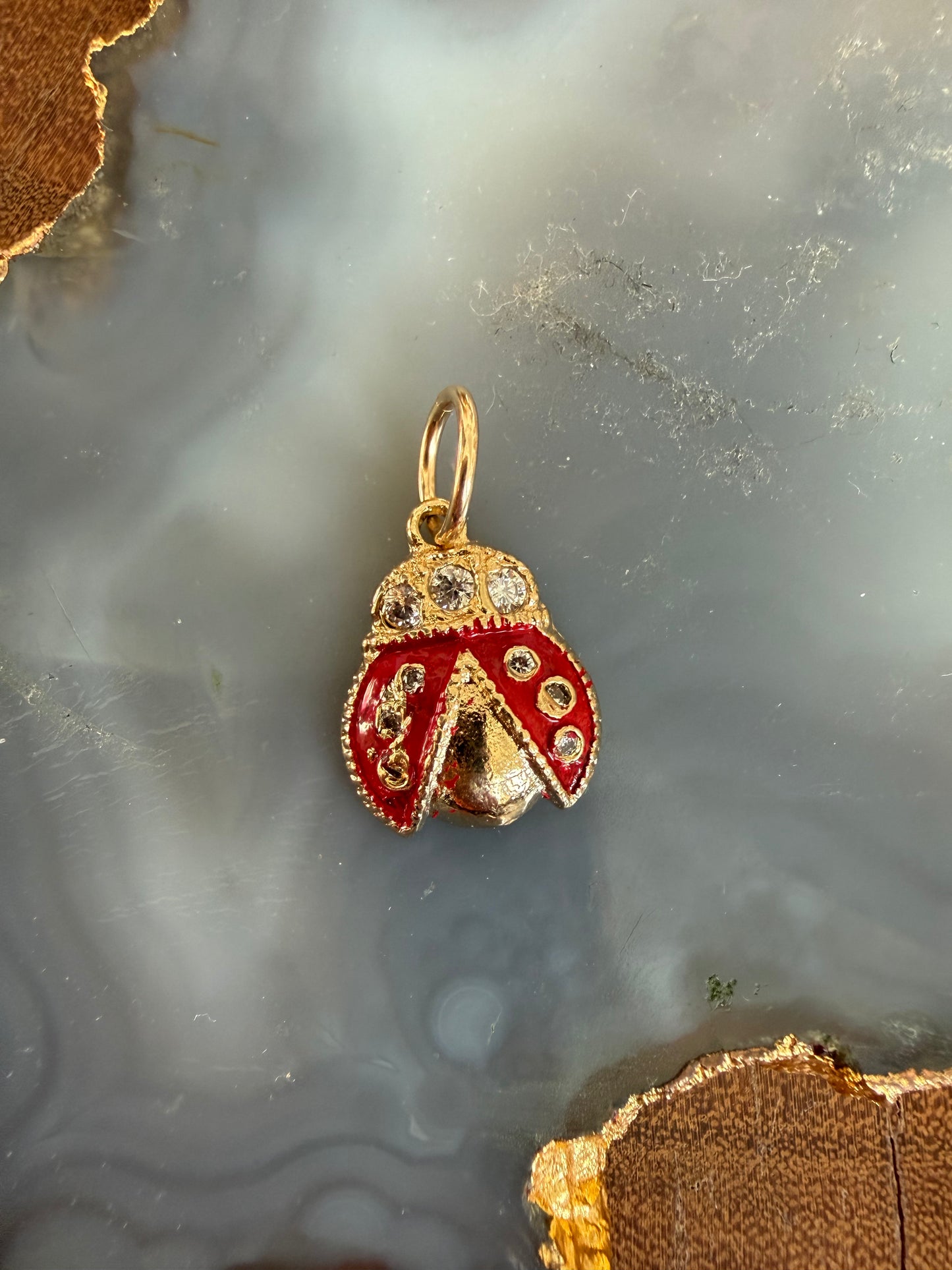 Cristina V Lady Bug Charm