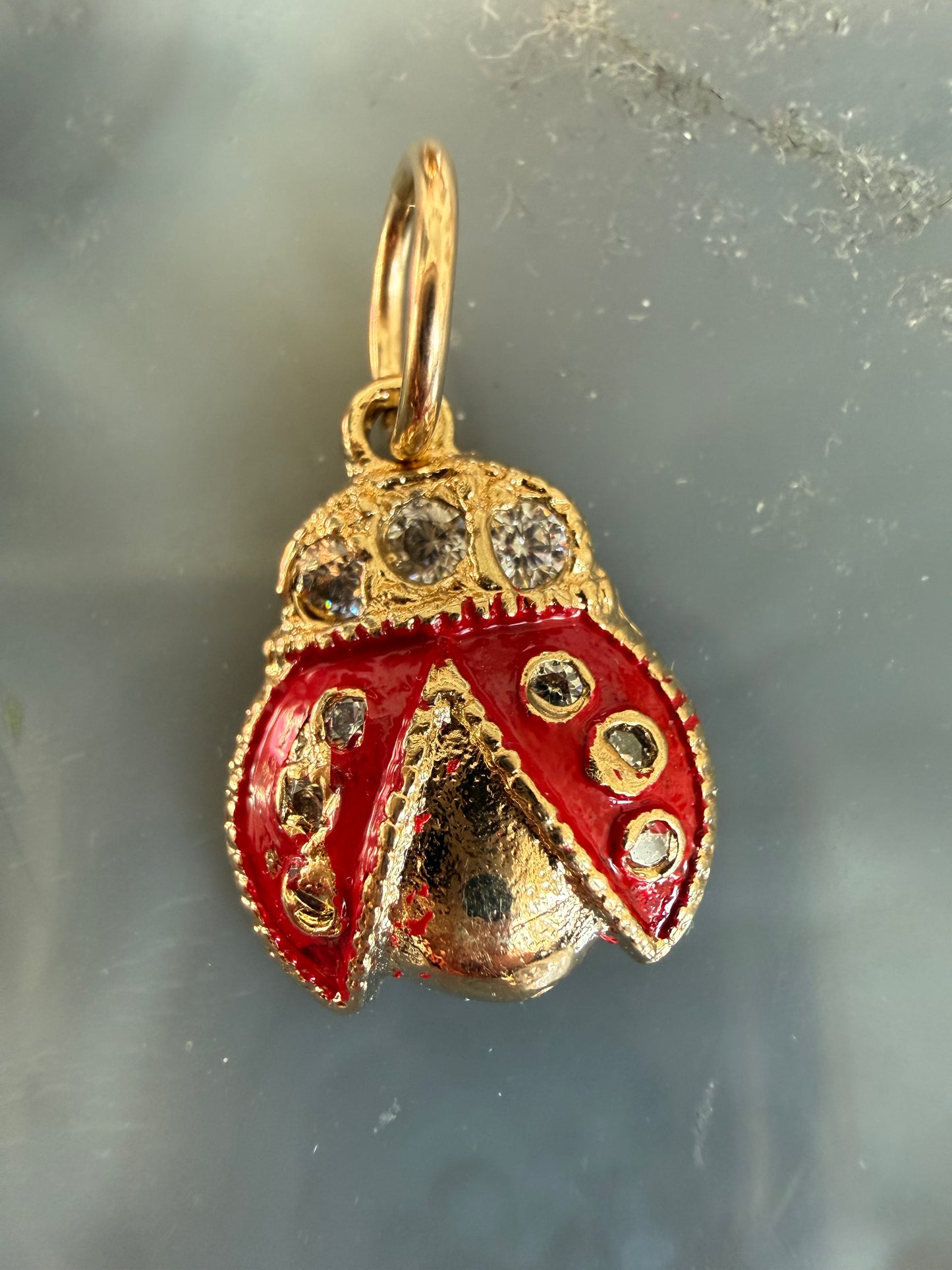 Cristina V Lady Bug Charm