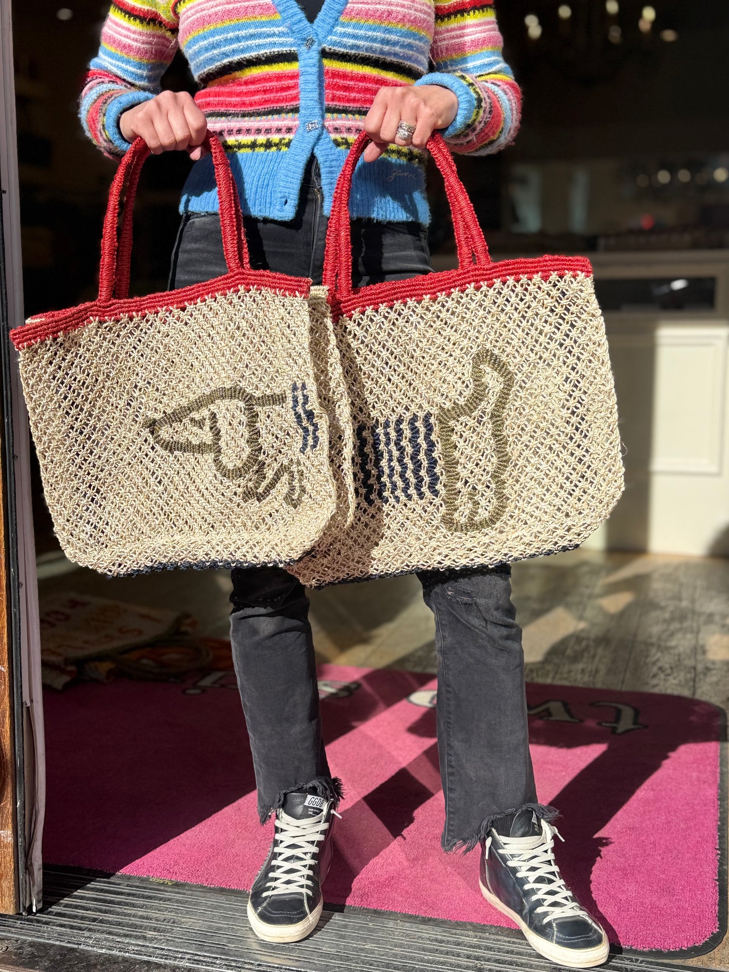 The Jacksons Breton Dog