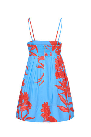 Cara Cara Leo Dress