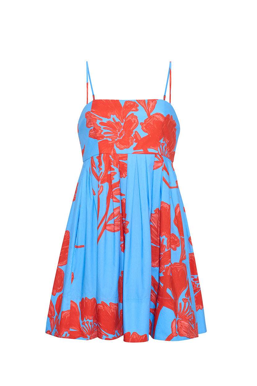 Cara Cara Leo Dress