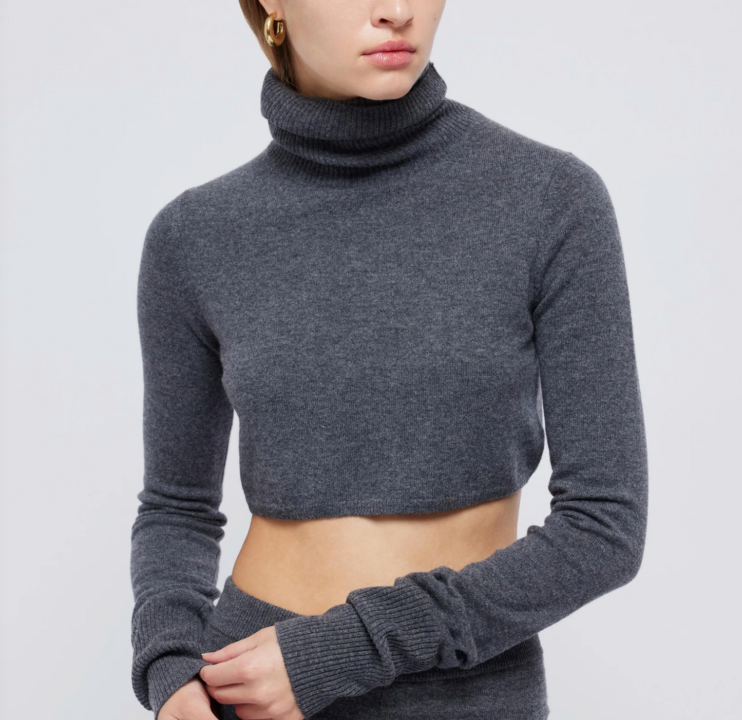 Simkhai Brie Cropped Turtleneck