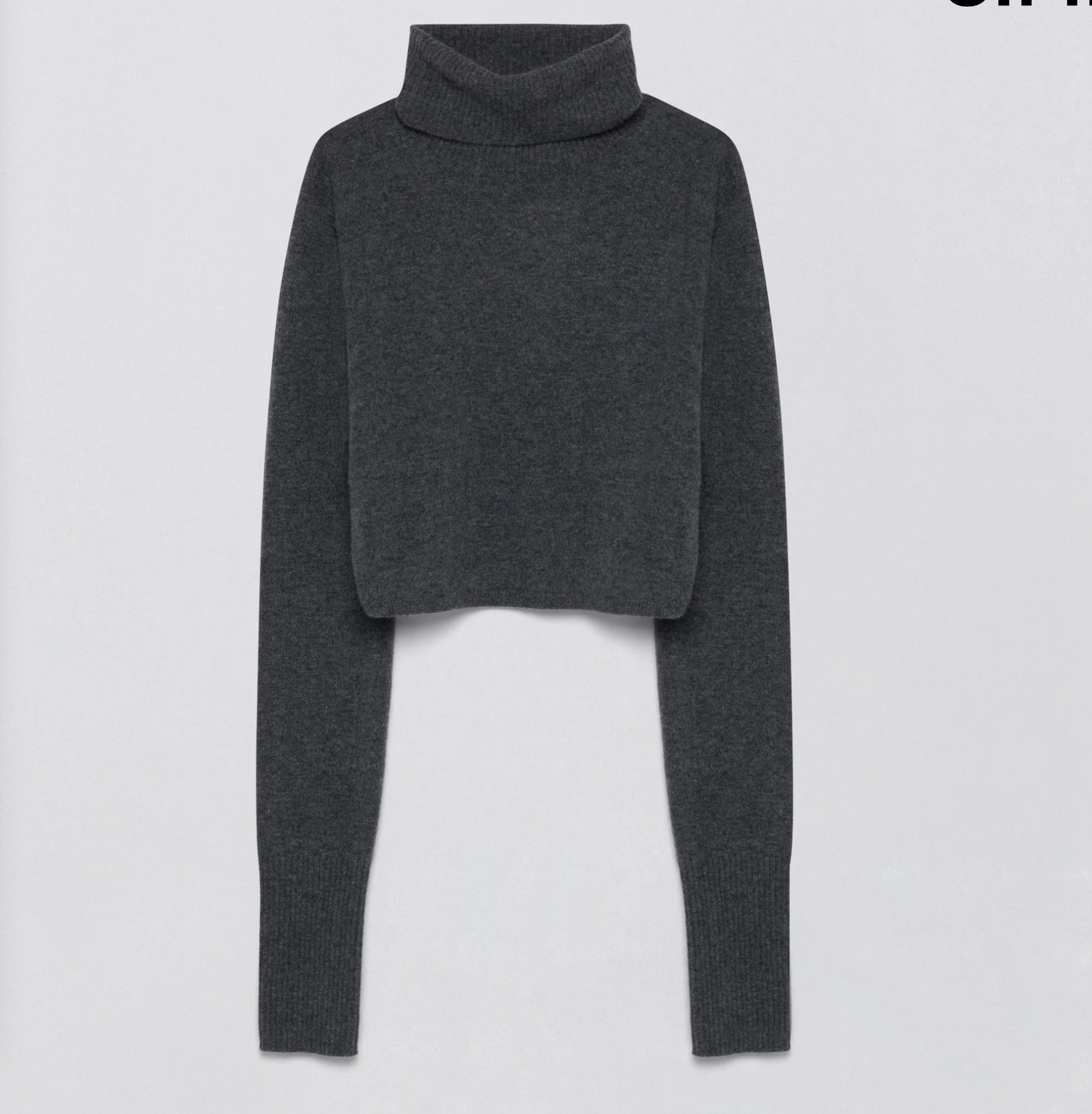 Simkhai Brie Cropped Turtleneck