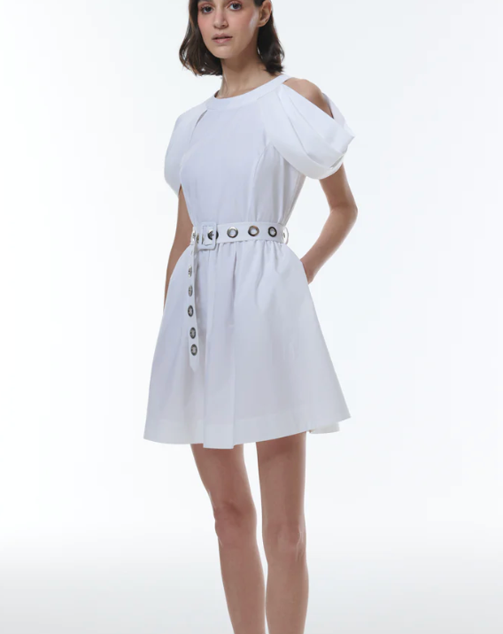 Theo Echo Belted Dress