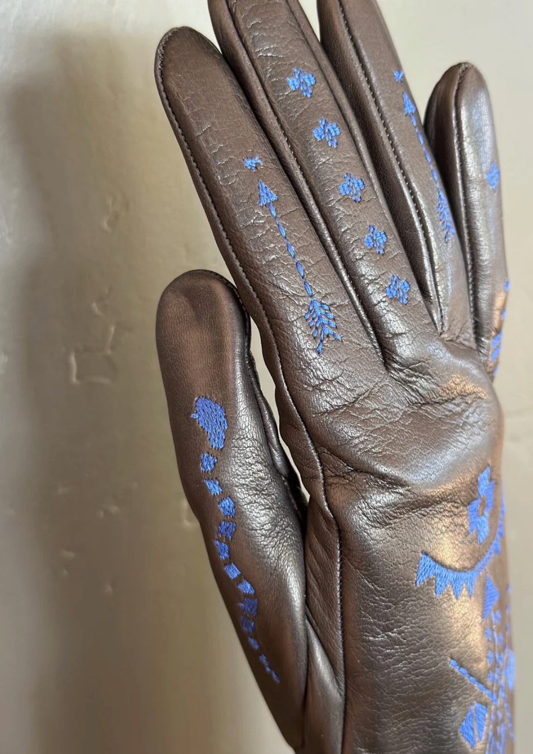 AHWR Petroglyph Gloves