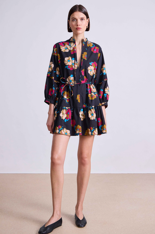 Apiece Apart Lalla Dress