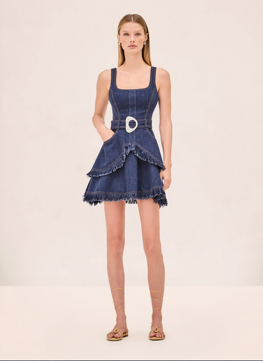 Alexis Macey Dress