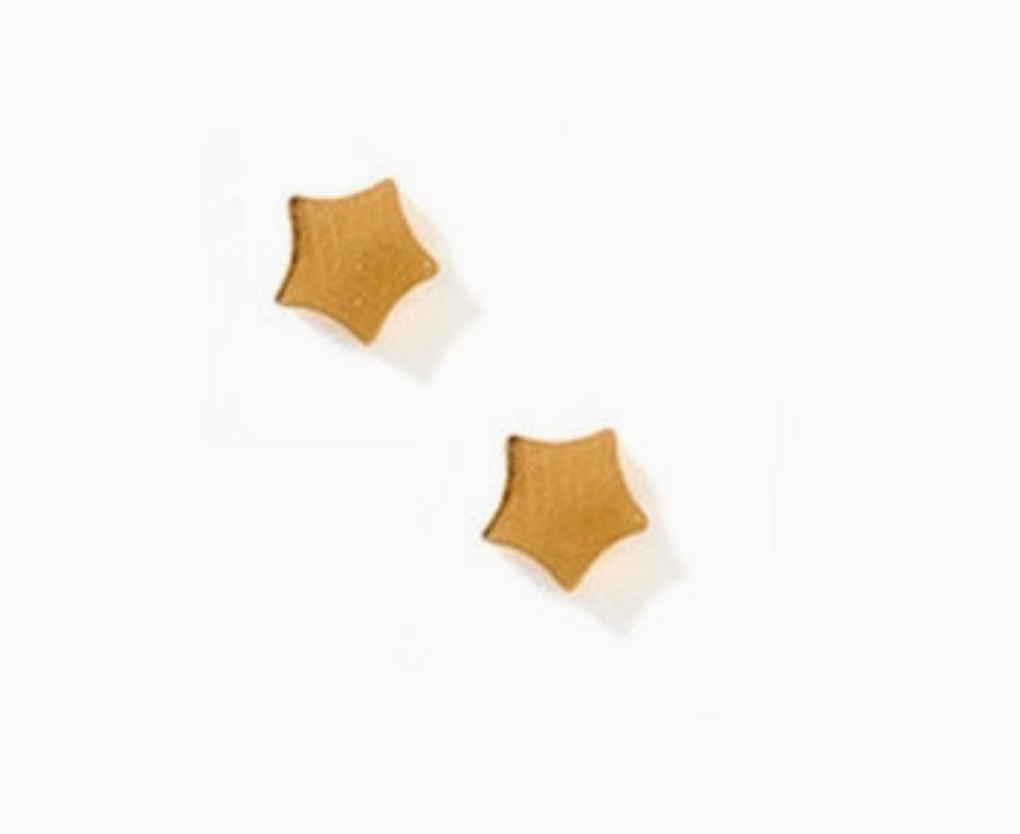 Screwback Stud Earrings- Stella Star