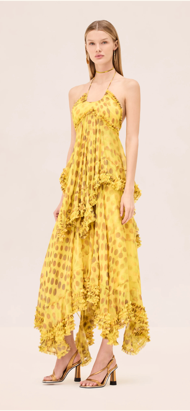 Alexis Sidi Dress