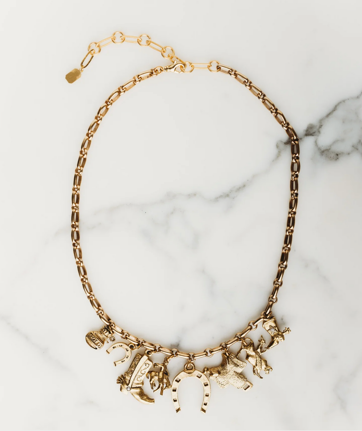 Elizabeth Cole Dakota Necklace
