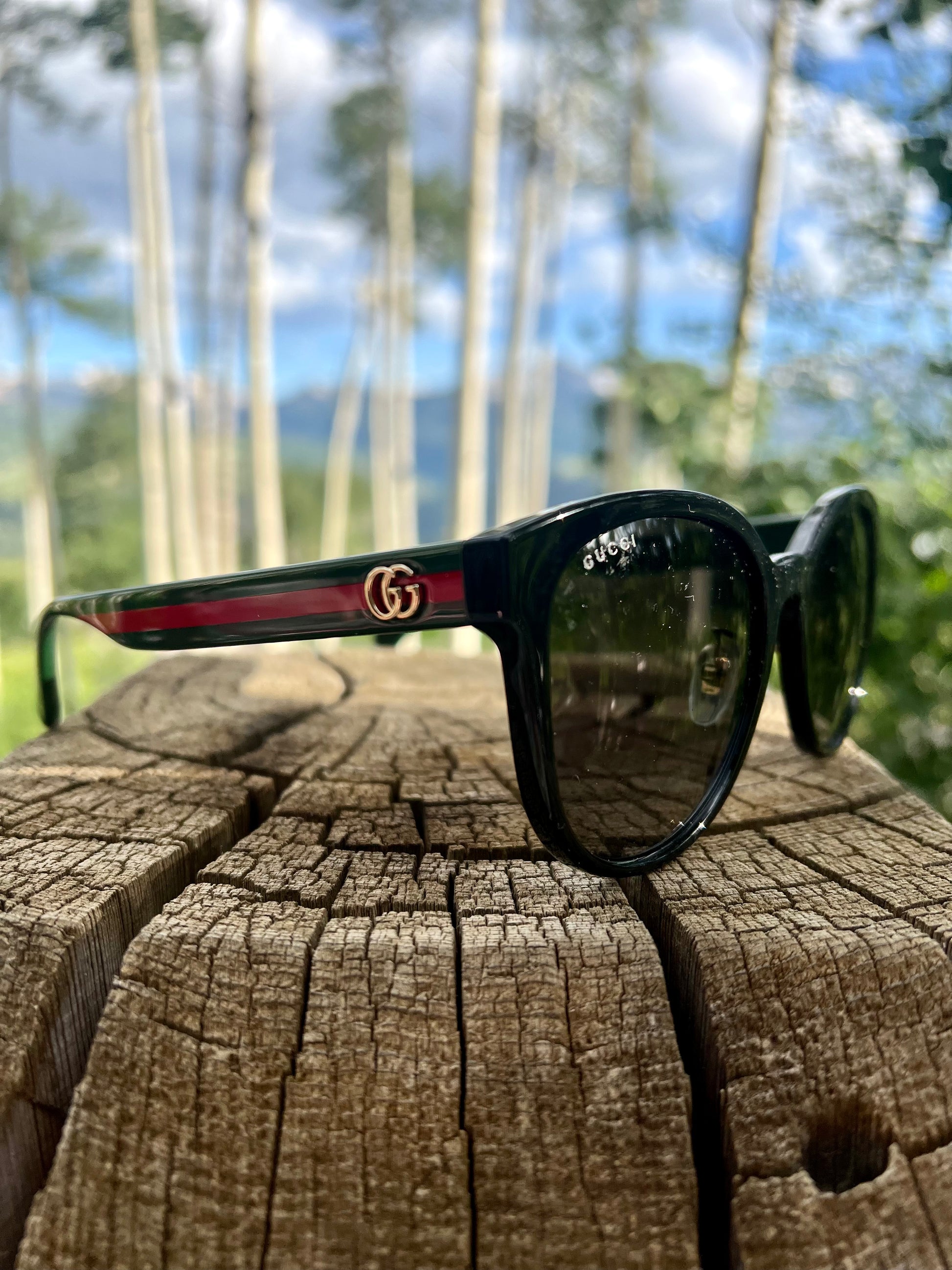 GG Black w Striped Arm Sunglasses