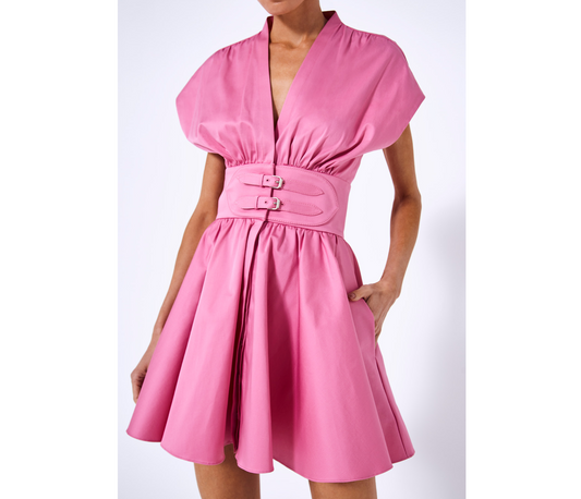Alexis Bree Dress Pink